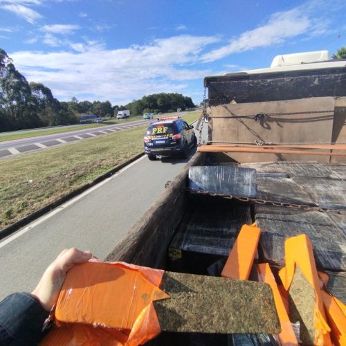 Em ação coordenada com a Polícia Civil, PRF apreende mais de uma tonelada de maconha no PR
