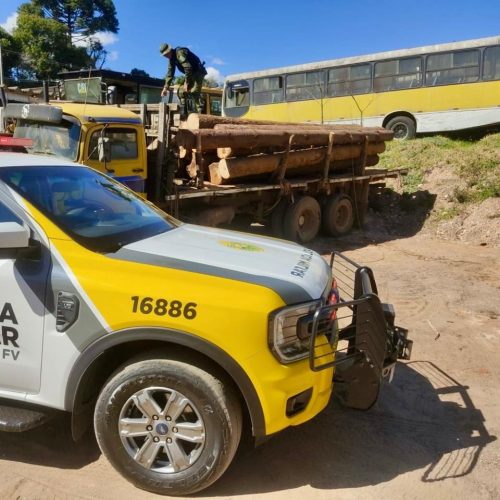 Crime ambiental na região: caminhão é flagrado com toras de araucária