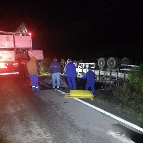 Caminhão com carga de suínos tomba durante a madrugada na região