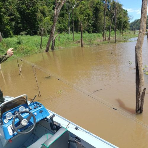 Polícia Ambiental apreende redes de pesca e salva ave presa em armadilha na região