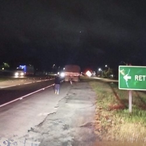 Caminhonete foge após colisão traseira na PR-151, em Carambeí