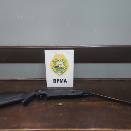 Arma adulterada e munições são apreendidas em área rural na região