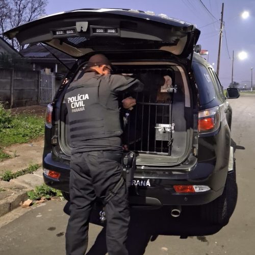 Empresário morto em barbearia foi vítima de engano; alvo era traficante, aponta investigação da PCPR