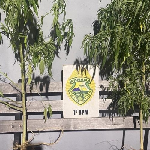 Homem é detido após ameaçar familiares com faca&nbsp;na região