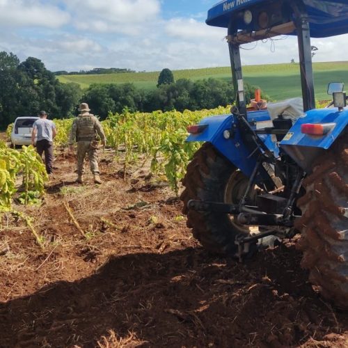 PRF apreende 273 quilos de maconha após perseguição na BR-277