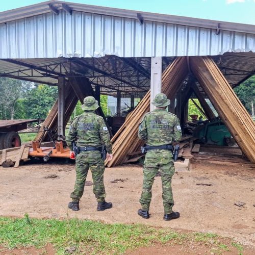 Polícia Militar Ambiental constata desmatamento ilegal de 9,34 hectares