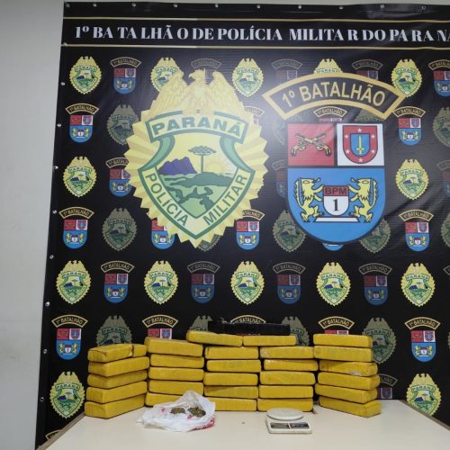 Polícia Militar apreende mais de 20 kg de maconha em bairro na região