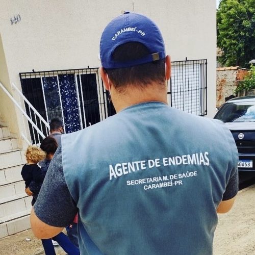 Saúde destaca papel dos agentes comunitários e de combate às endemias