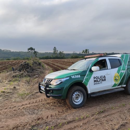 Proprietário rural é multado em R$ 84 mil por supressão de vegetação nativa no PR