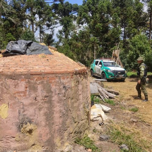 Fiscalização ambiental flagra forno de carvão irregular e aplica R$ 114,4 mil em multas&nbsp;
