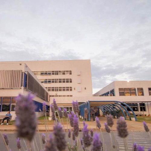 Governador sanciona lei que atualiza modelo de gestão dos hospitais universitários