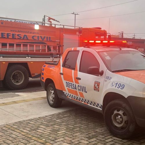 VÍDEO: Veado-campeiro invade loja no centro de Carambeí