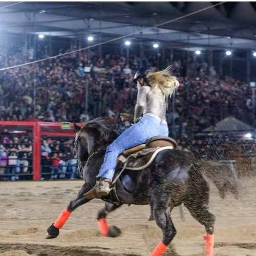 5ª Festa de Peão de Boiadeiro de Castro reúne 65 mil pessoas em três dias