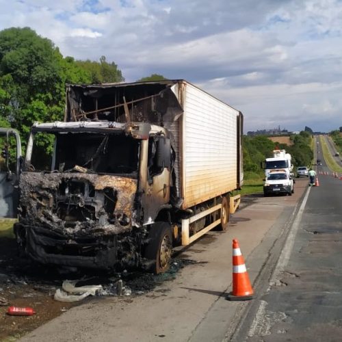 Pintinhos morrem após incêndio em caminhão na PR-151