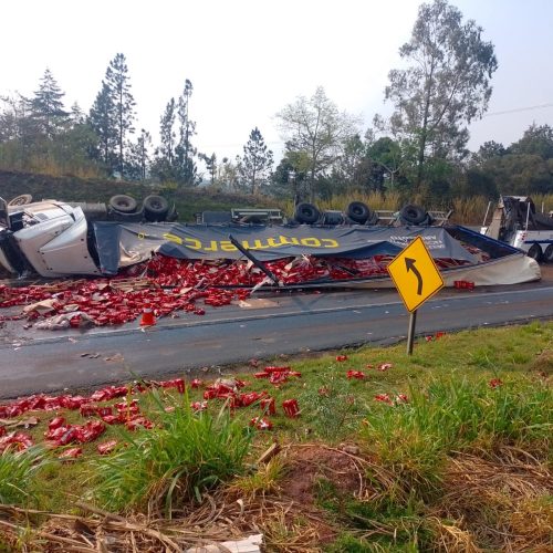 Caminhão tomba na PR 151, e motorista fica ferido 