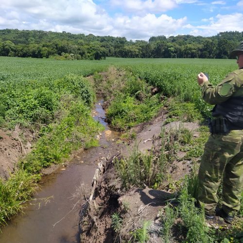 Polícia Militar Ambiental atende crime de desmatamento&nbsp;na região