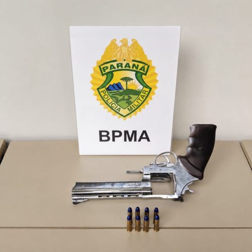 Polícia Ambiental apreende revólver durante fiscalização em área rural na região