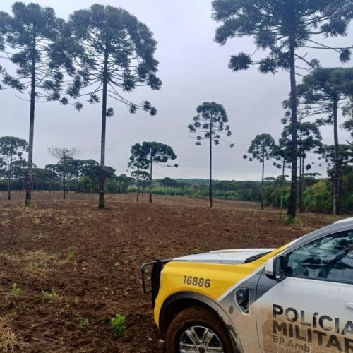 Produtor rural é multado em R$ 96 mil por reincidência e dano ambiental na região