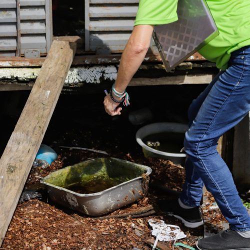 Matinhos, 27 de janeiro de 2024 - Ação de combate a dengue no Litoral, em Matinhos.