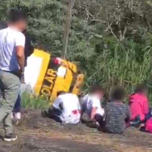 Acidente com ônibus escolar deixa vítima gravemente ferida no PR
