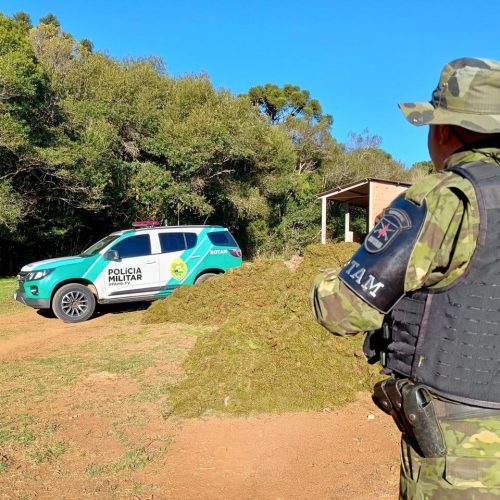 Polícia Ambiental apreende 115 sacas de musgo e aplica multa de R$ 6 mil&nbsp;na região