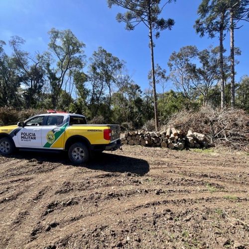Polícia Ambiental flagra crimes ambientais em&nbsp;cidades da região