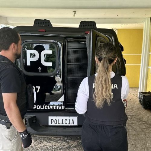 Homem com histórico de furtos em Carambeí é preso pela Polícia Civil