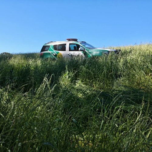 PM Ambiental aplica multa de R$ 14 mil por destruição de vegetação nativa na região