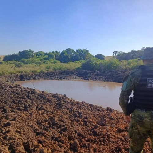Desmatamento em área de banhado gera autuação ambiental na região