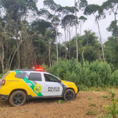 &nbsp;Denúncia leva à descoberta de área desmatada e multa de R$ 14 mil na região