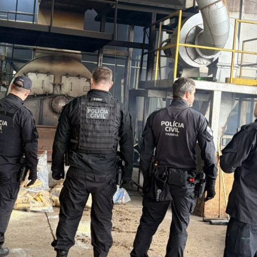 Incineração de drogas reforça combate ao tráfico nos Campos Gerais