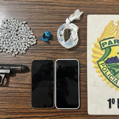 Policia Militar apreende drogas e simulacro de arma em Carambeí