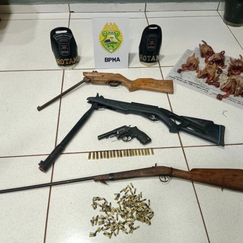 Seis são presos por crimes ambientais durante patrulhamento&nbsp;no PR