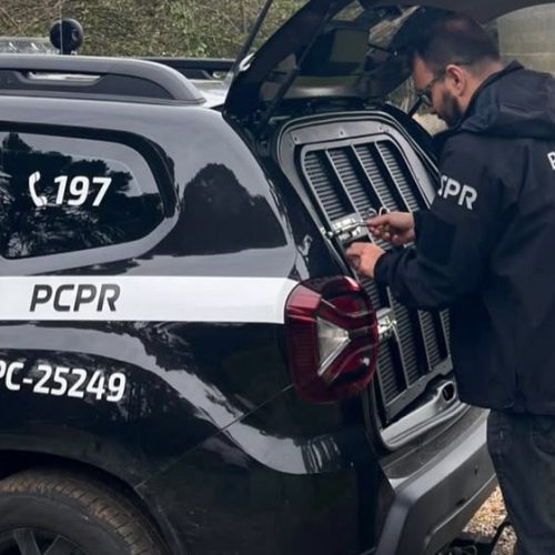 PCPR localiza e prende homem investigado por estupro de vulnerável na região