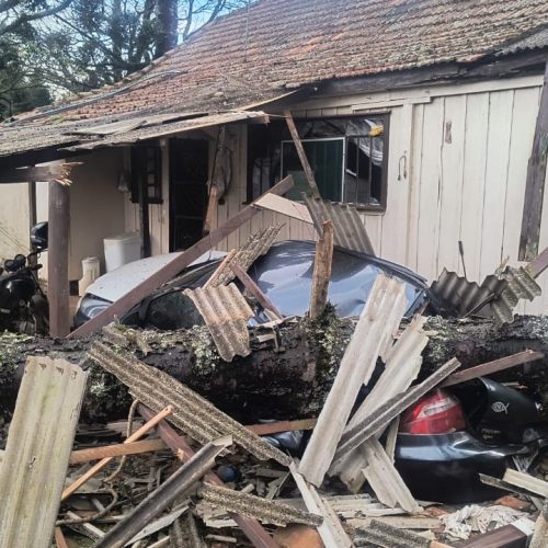 Família cria vaquinha para recuperar prejuízos da tempestade em Carambeí