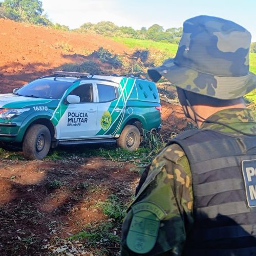 Dois homens presos em flagrante por desmatamento ilegal no PR