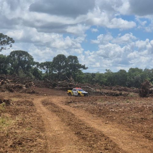 Crimes ambientais resultam em multas superiores a R$ 286 mil&nbsp;na região