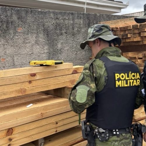 Polícia Ambiental autua empresa de madeira por irregularidades