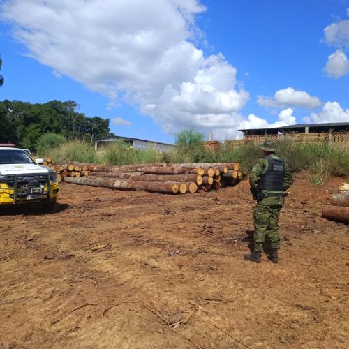 Irregularidade em estoque de madeira gera autuação de R$ 64,5 mil na região
