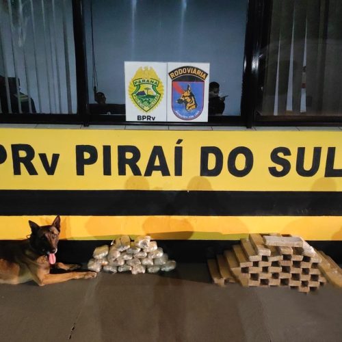 Polícia apreende mais de 31 kg de drogas em ônibus na PR-151