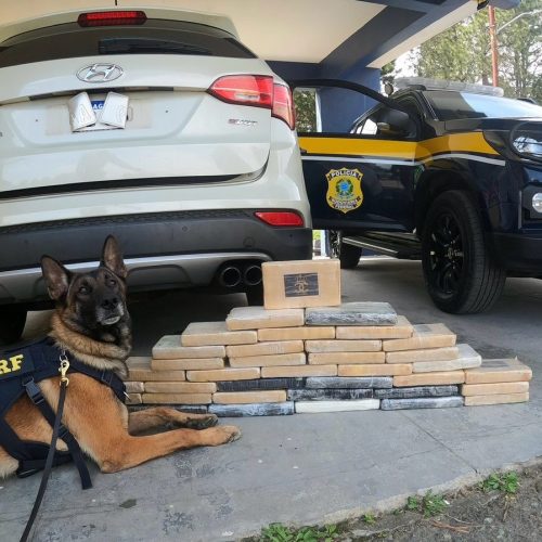 Vídeo: Polícia apreende 54,9 kg de cocaína escondidos em veículo na região