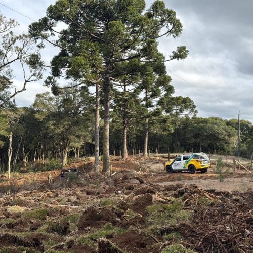 Polícia Ambiental flagra destruição de floresta nativa e apreende escavadeira na região