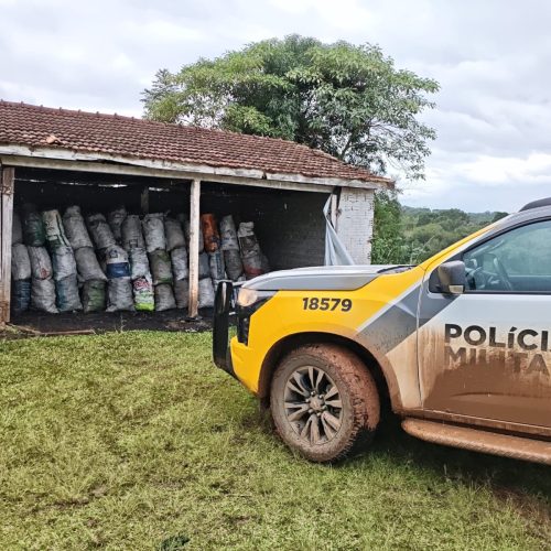 Polícia Ambiental apreende mais de 500 sacos de carvão vegetal na região