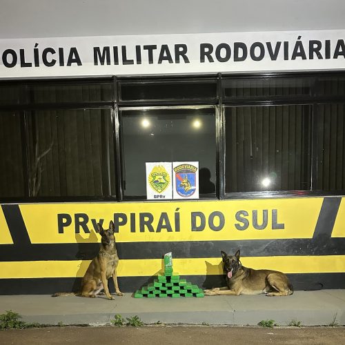 Mulher é presa com 22 kg de maconha durante operação na PR-151