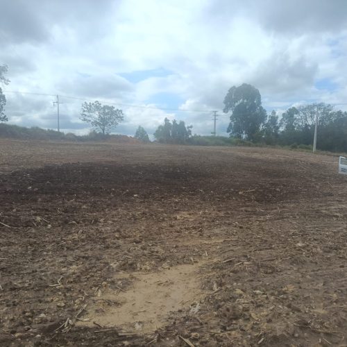Polícia Ambiental aplica R$ 8,5 mil em multas por corte de araucárias e desmatamento na região