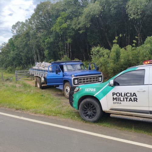 Polícia Ambiental flagra transporte irregular de carvão vegetal&nbsp;na região
