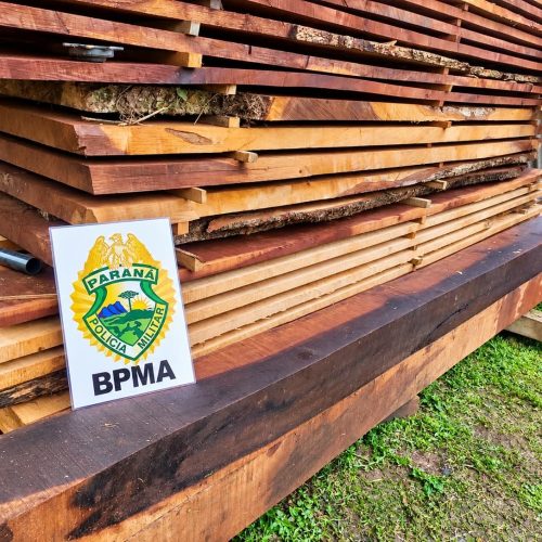 PM Ambiental apreende mais de 18 m³ de madeira nativa armazenada irregularmente na região