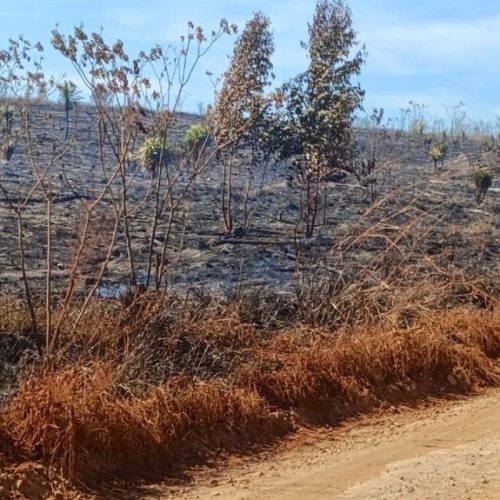 Proprietário é multado em R$ 12 mil por queimada ilegal na região