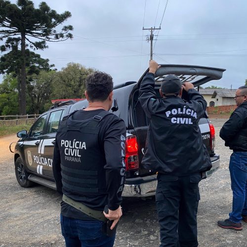 Polícia Civil prende dois homens por estupro de vulnerável na região 