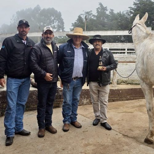 Tropeiros iniciam peregrinação de Carambeí até Aparecida
